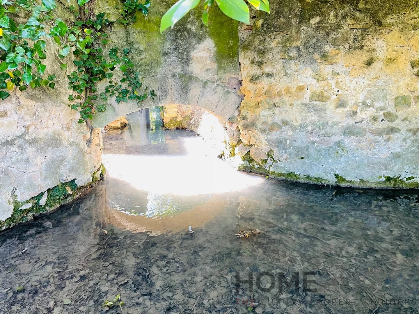 property_HH-15607266-24