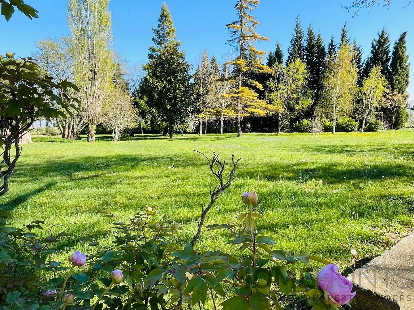 property_HH-15607266-26