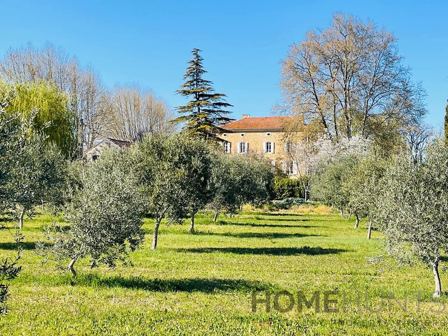 property_HH-15607266