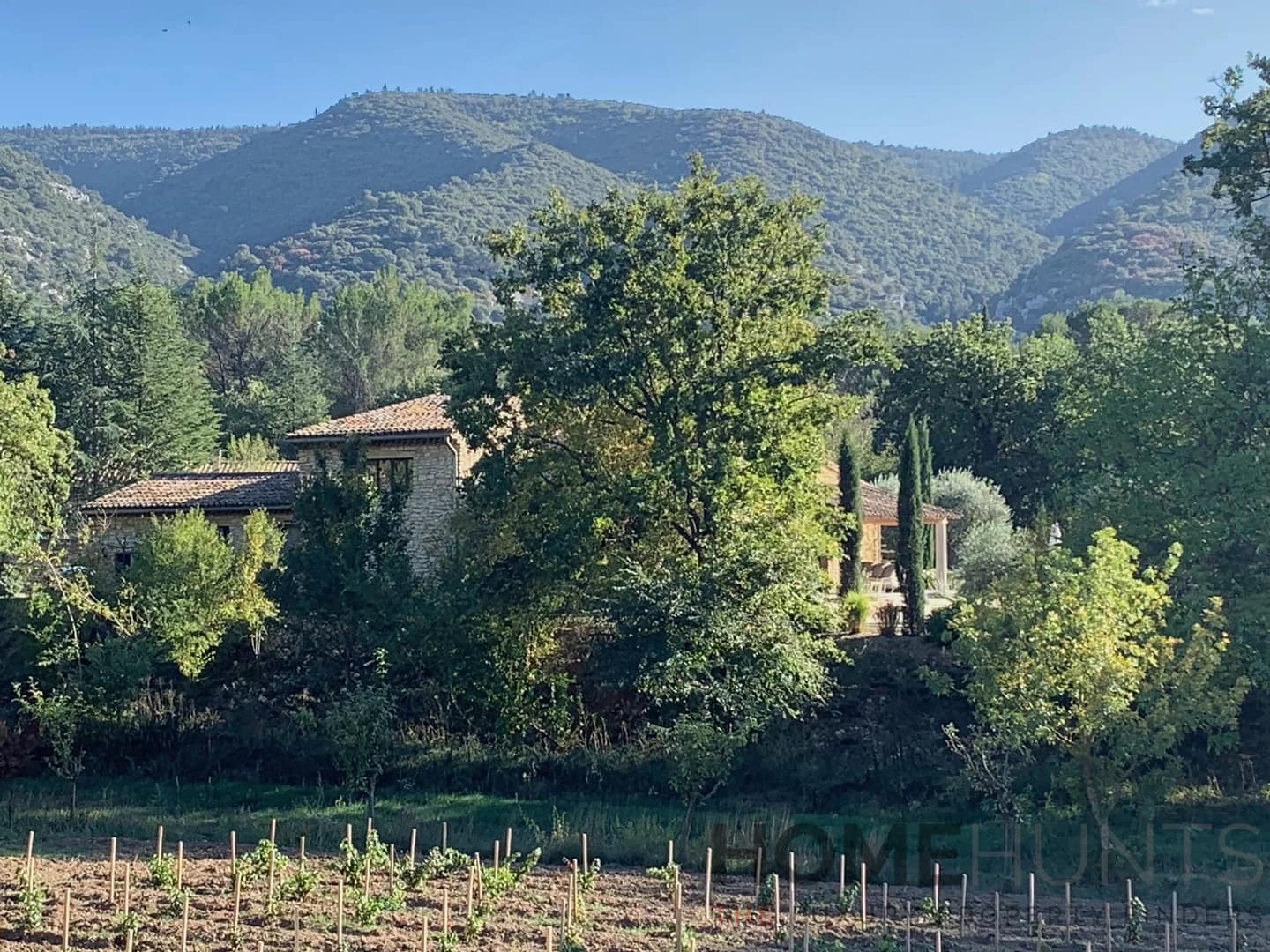 property_HH-15701241-11