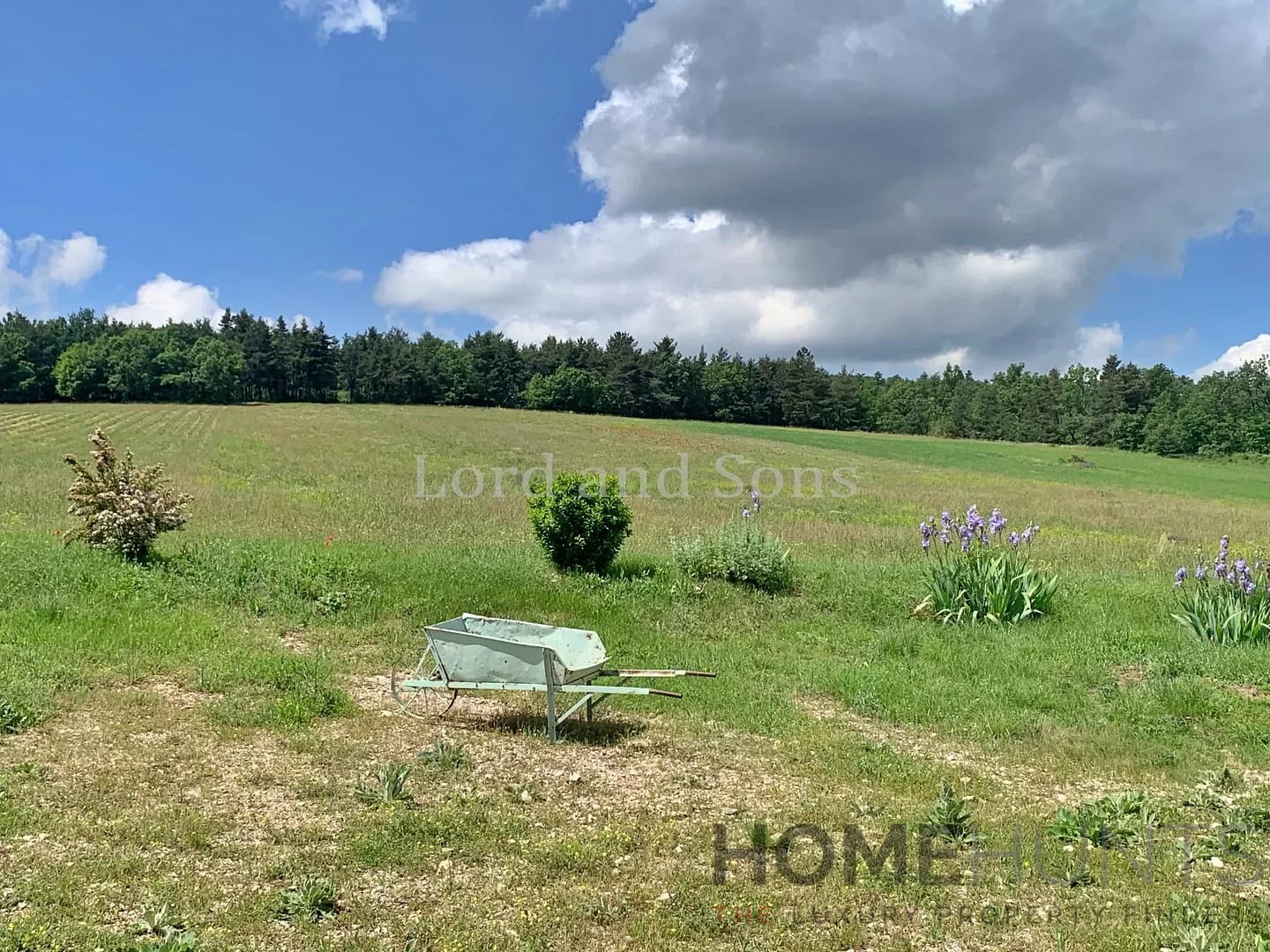 property_HH-15726747-12