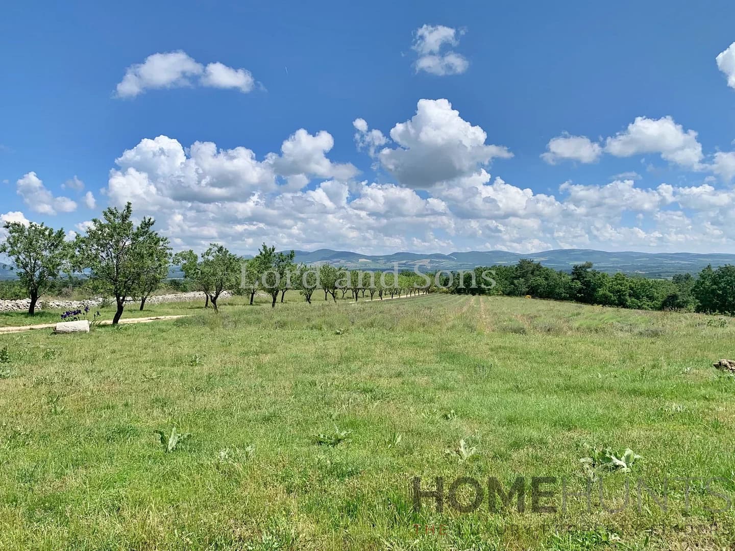 property_HH-15726747-13