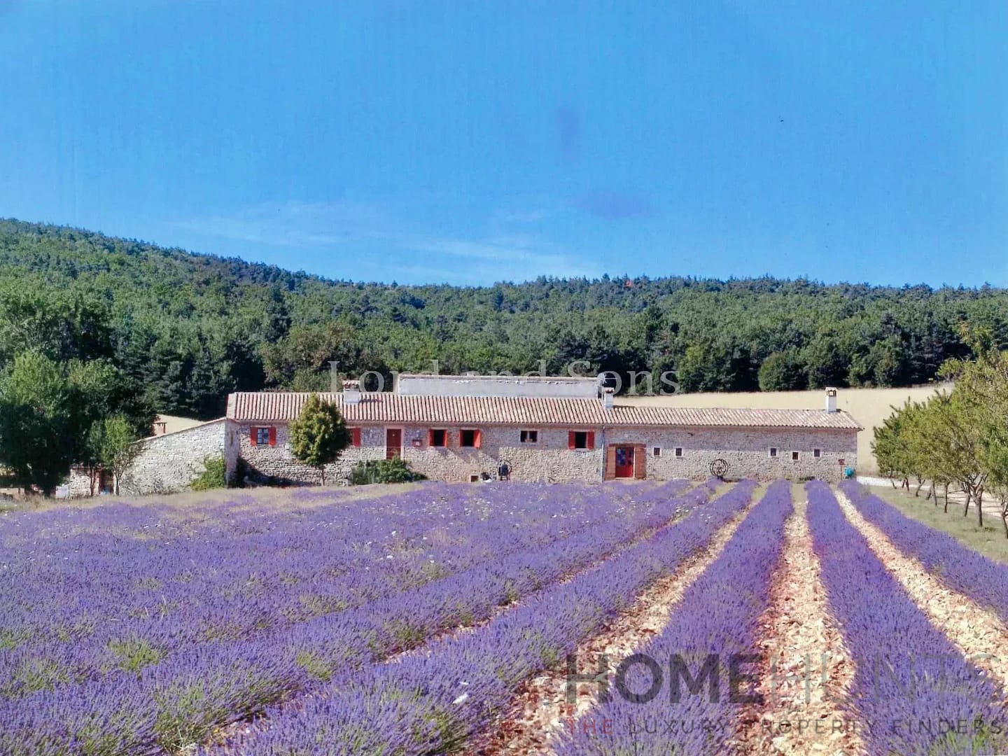 property_HH-15726747