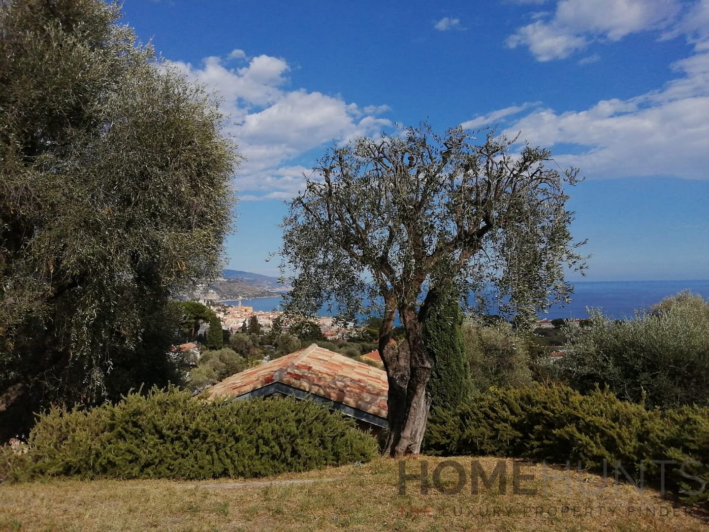 property_HH-14656697