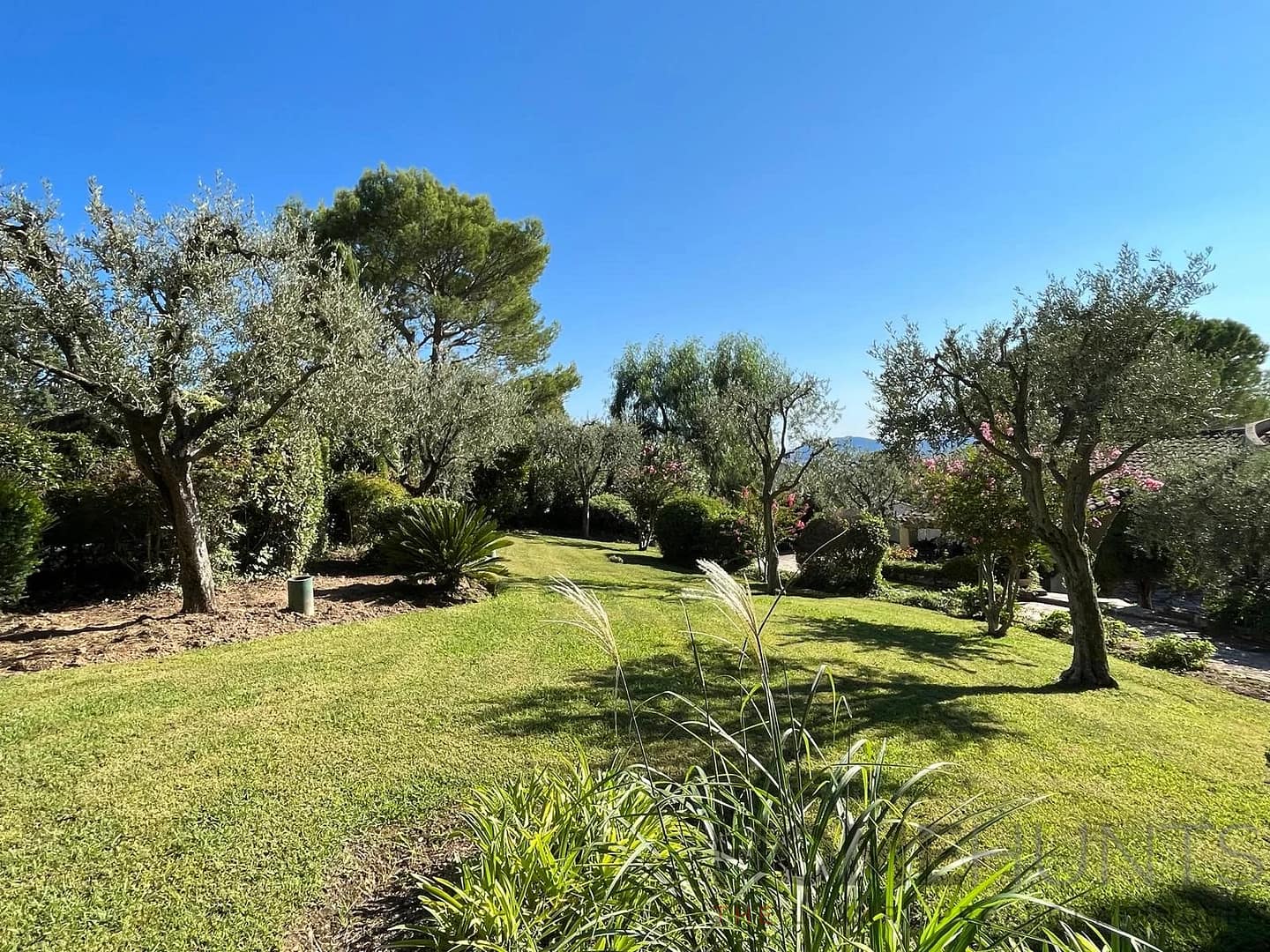 property_HH-15743556-12