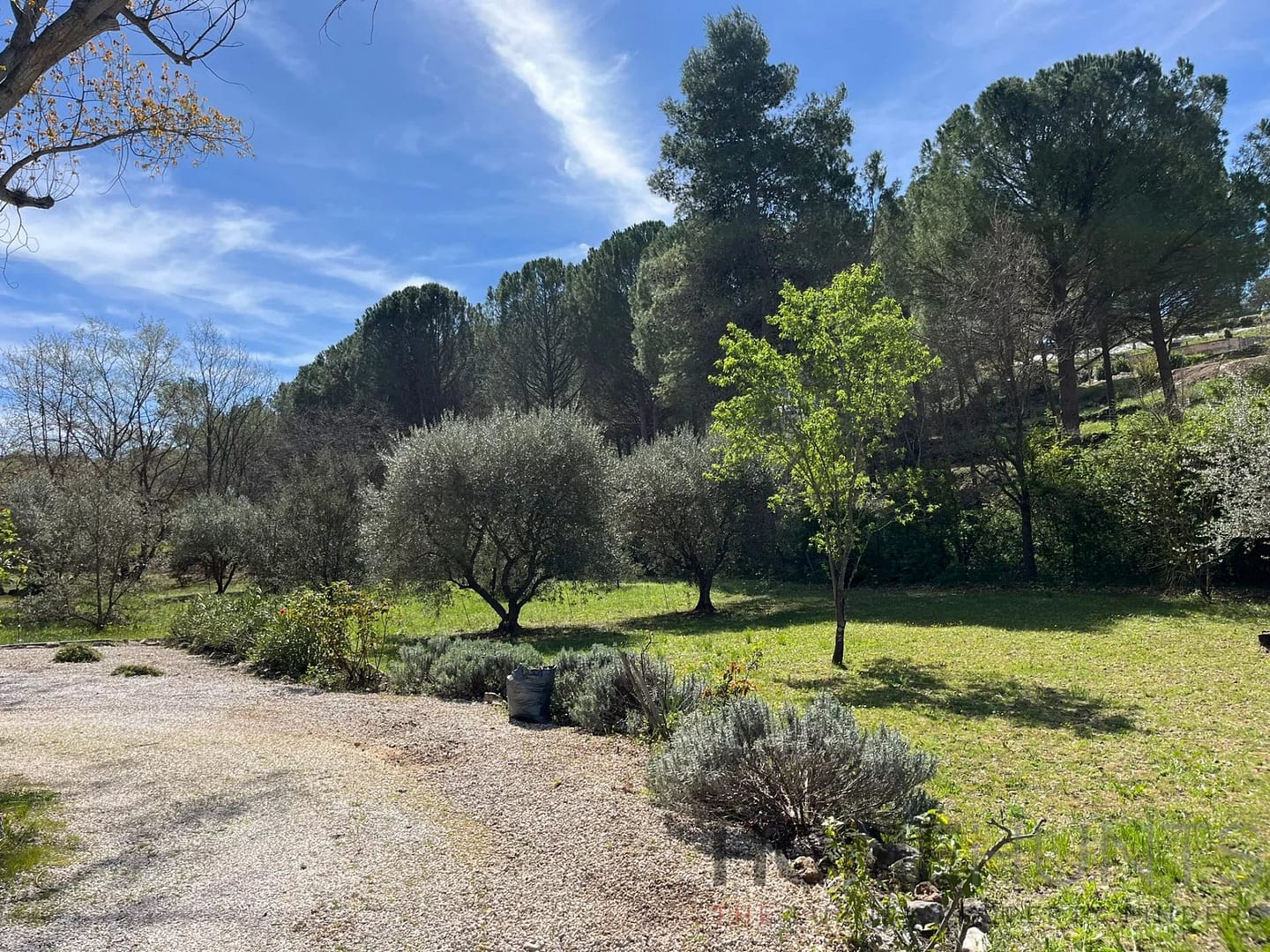 property_HH-15348931-21