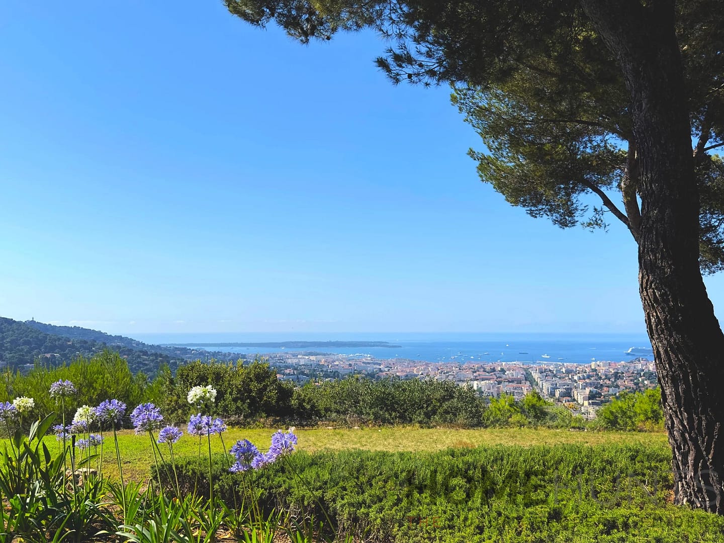 property_HH-15800952