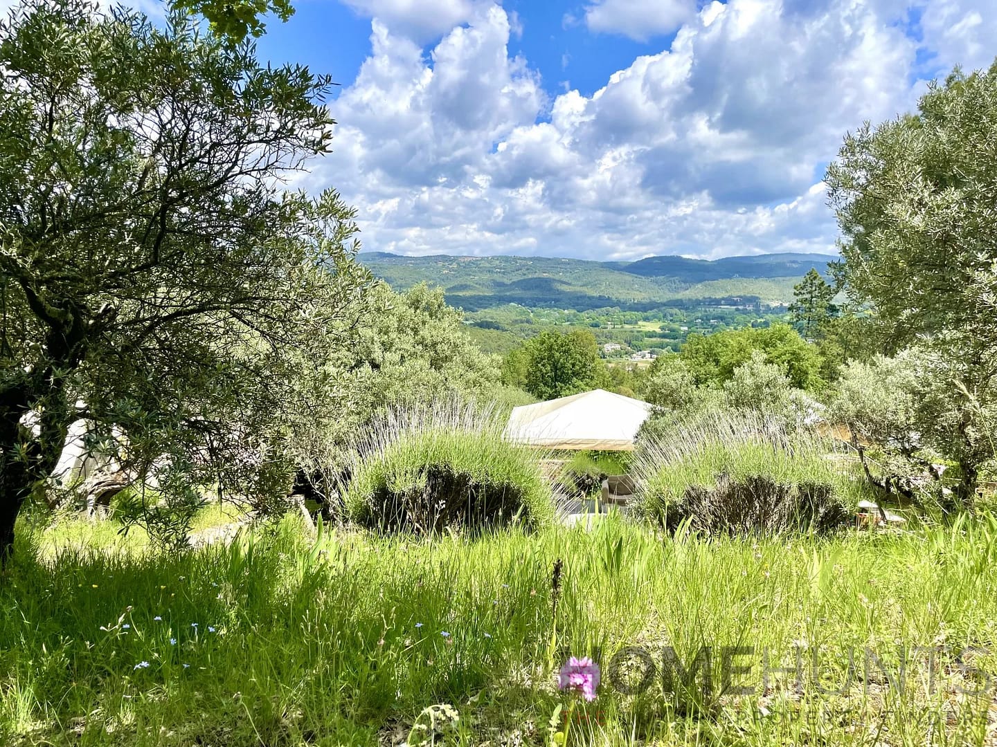 property_HH-15805608-10