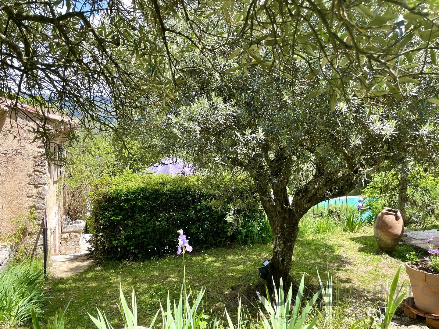 property_HH-15805608-14