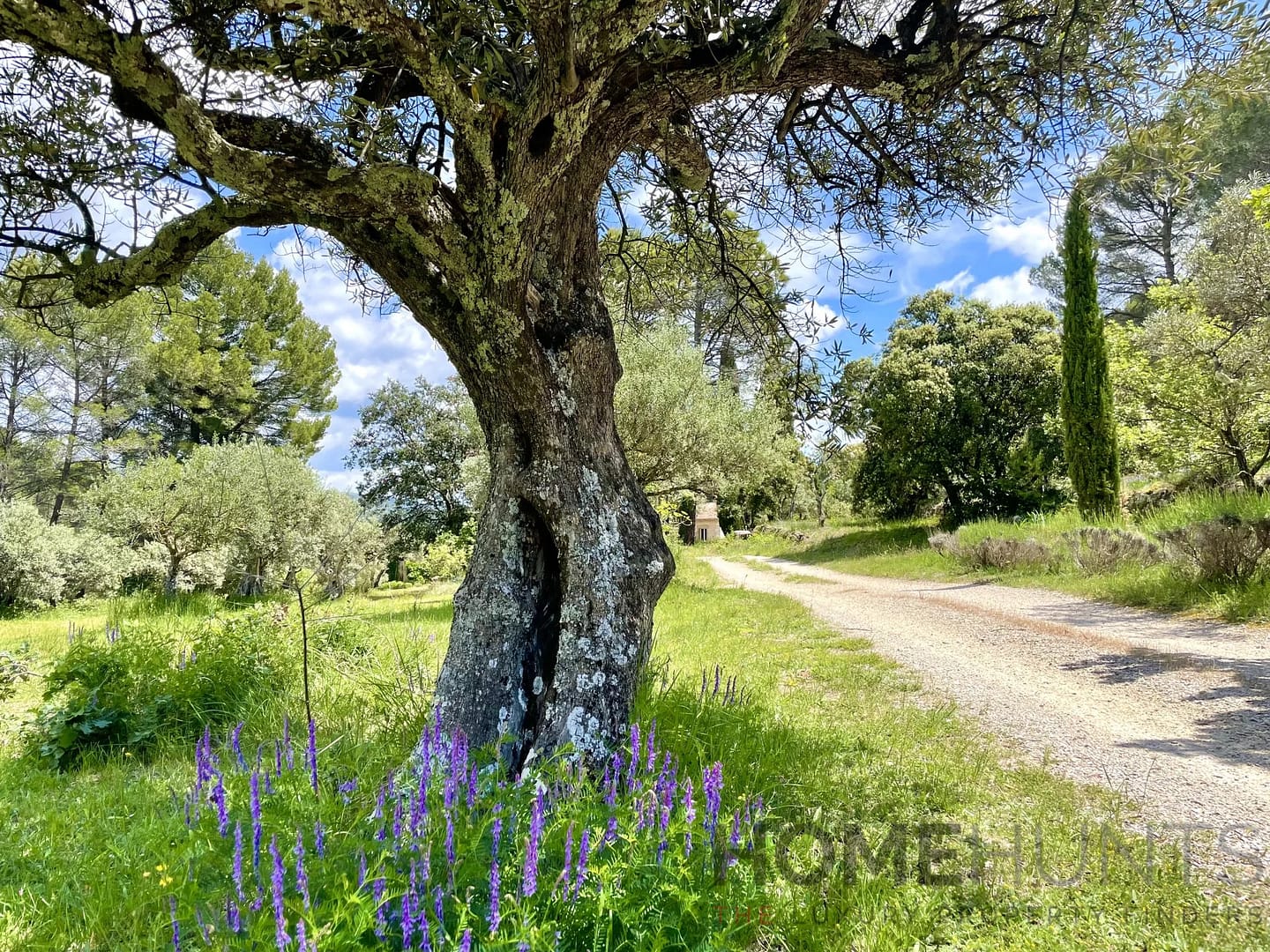 property_HH-15805608-15