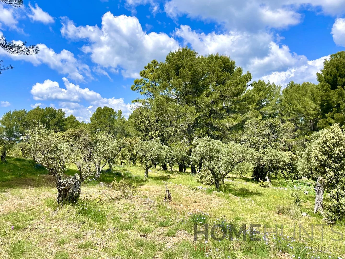 property_HH-15805608-16