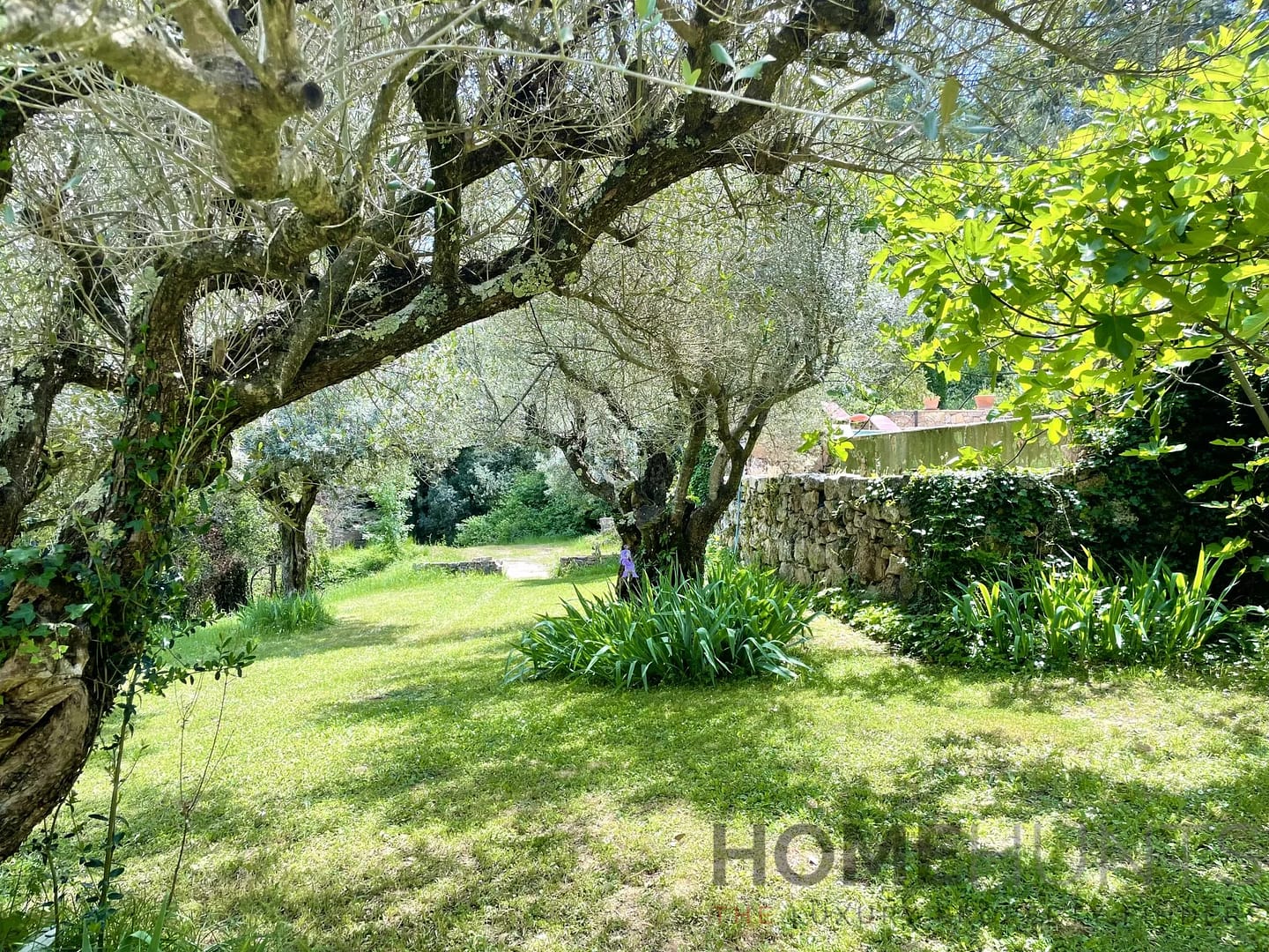 property_HH-15805608-28