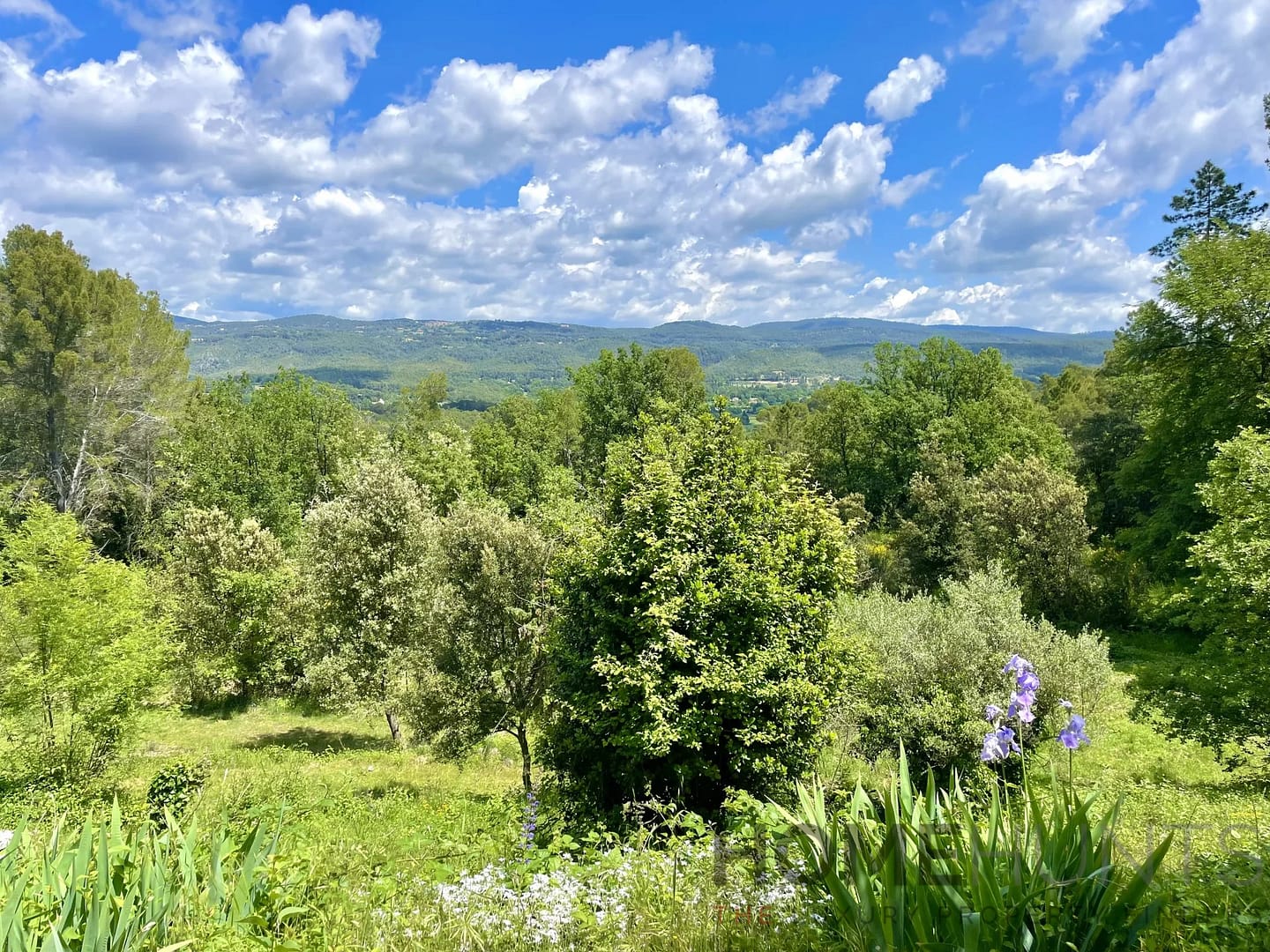 property_HH-15805608-29