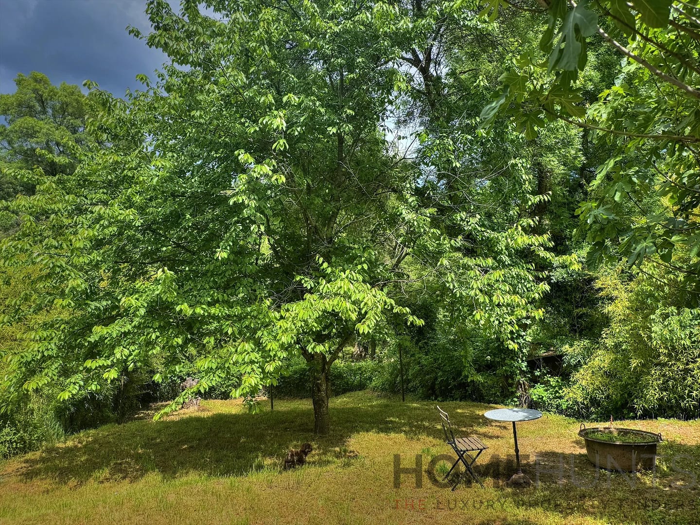 property_HH-15800006-6