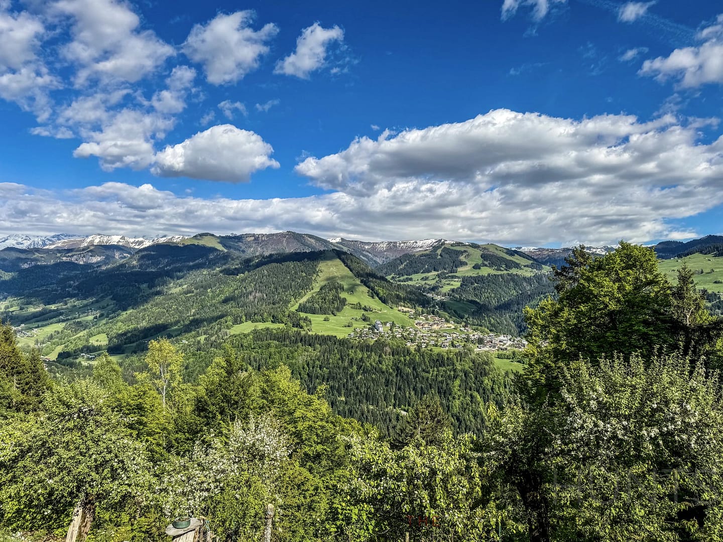 property_HH-15803526-12