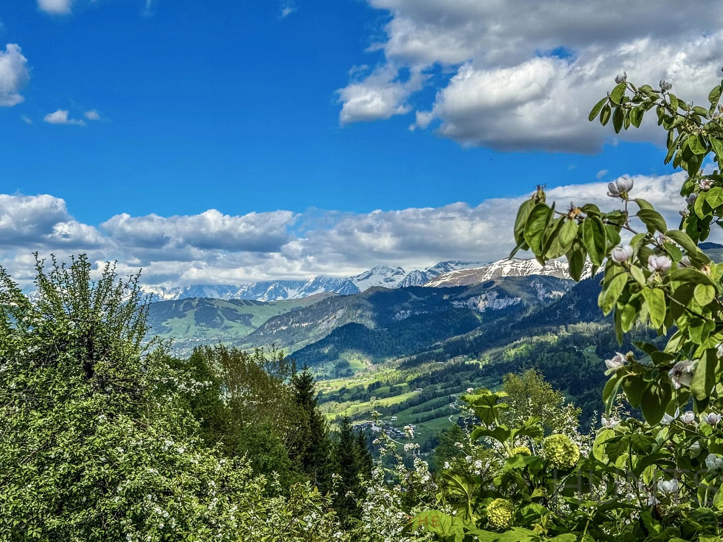 property_HH-15803526-2