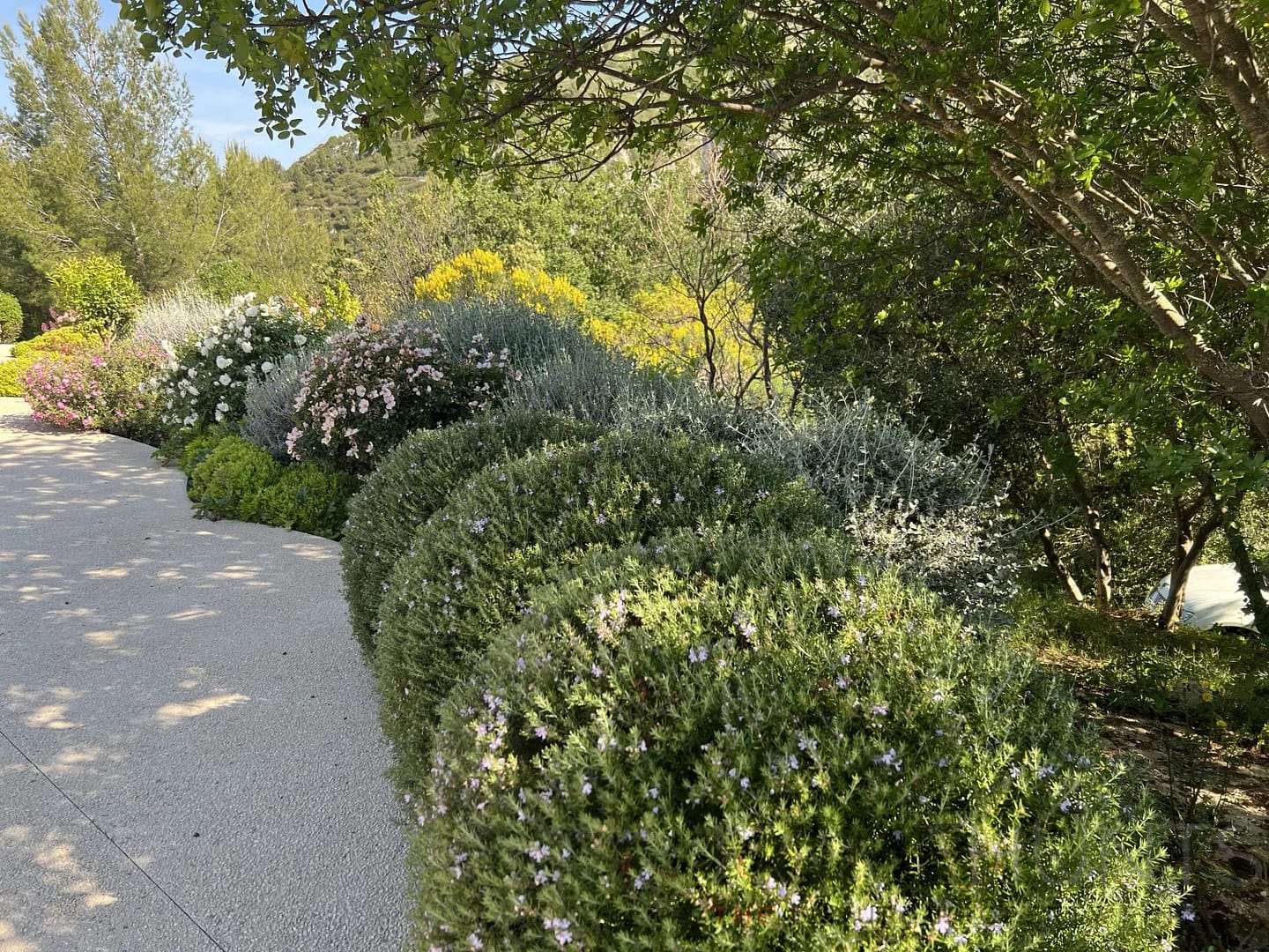 property_HH-15444913-9