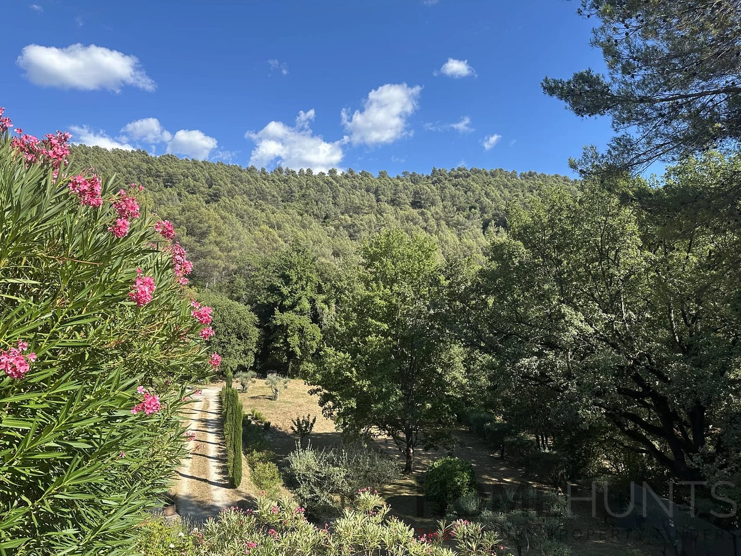 property_HH-15896034-4