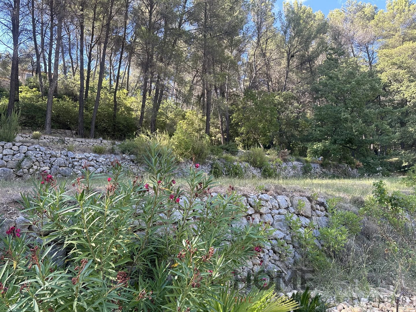 property_HH-15896034-5