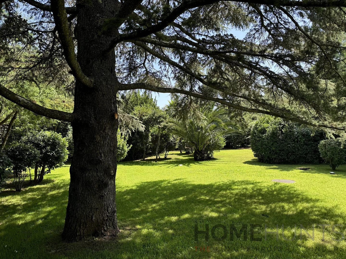 property_HH-15880250