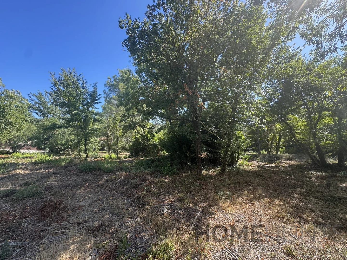 property_HH-15925791-2