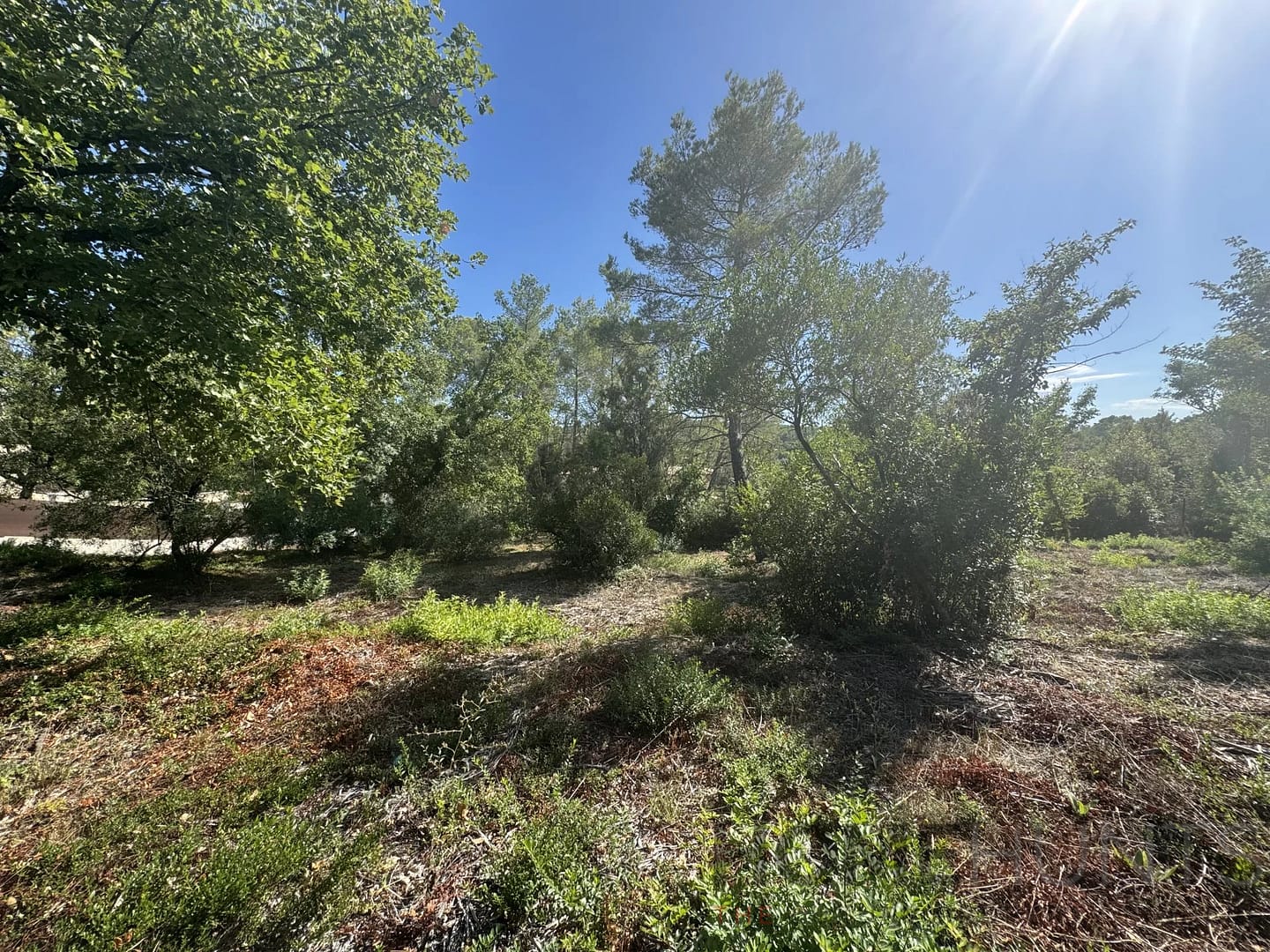 property_HH-15925791-5