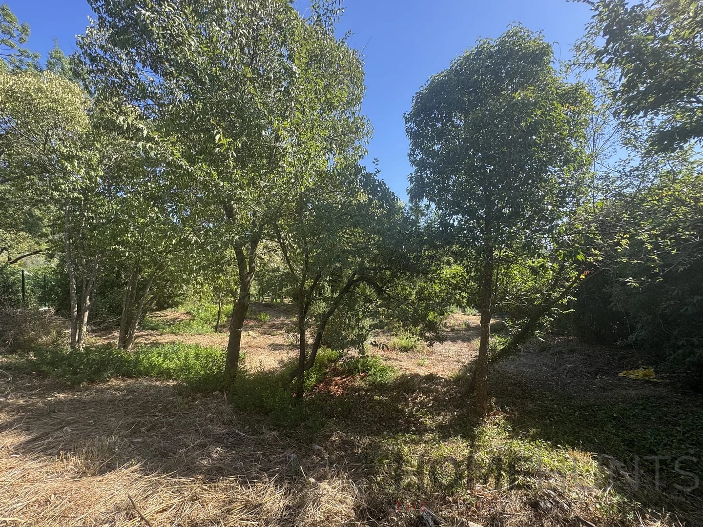 property_HH-15925791-6