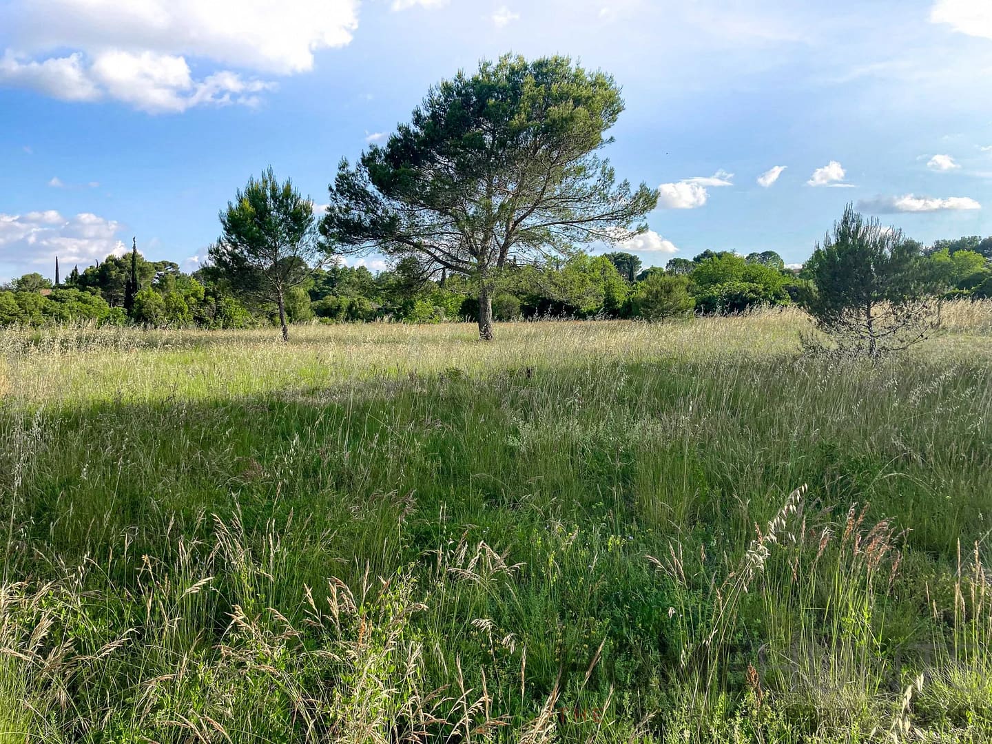 property_HH-15439922-16