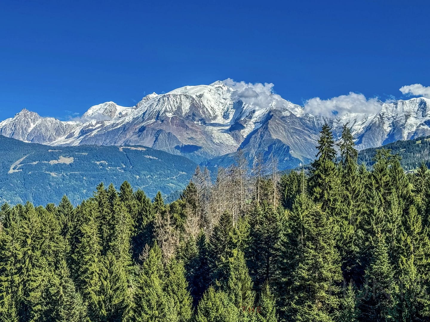 property_HH-15941775-16