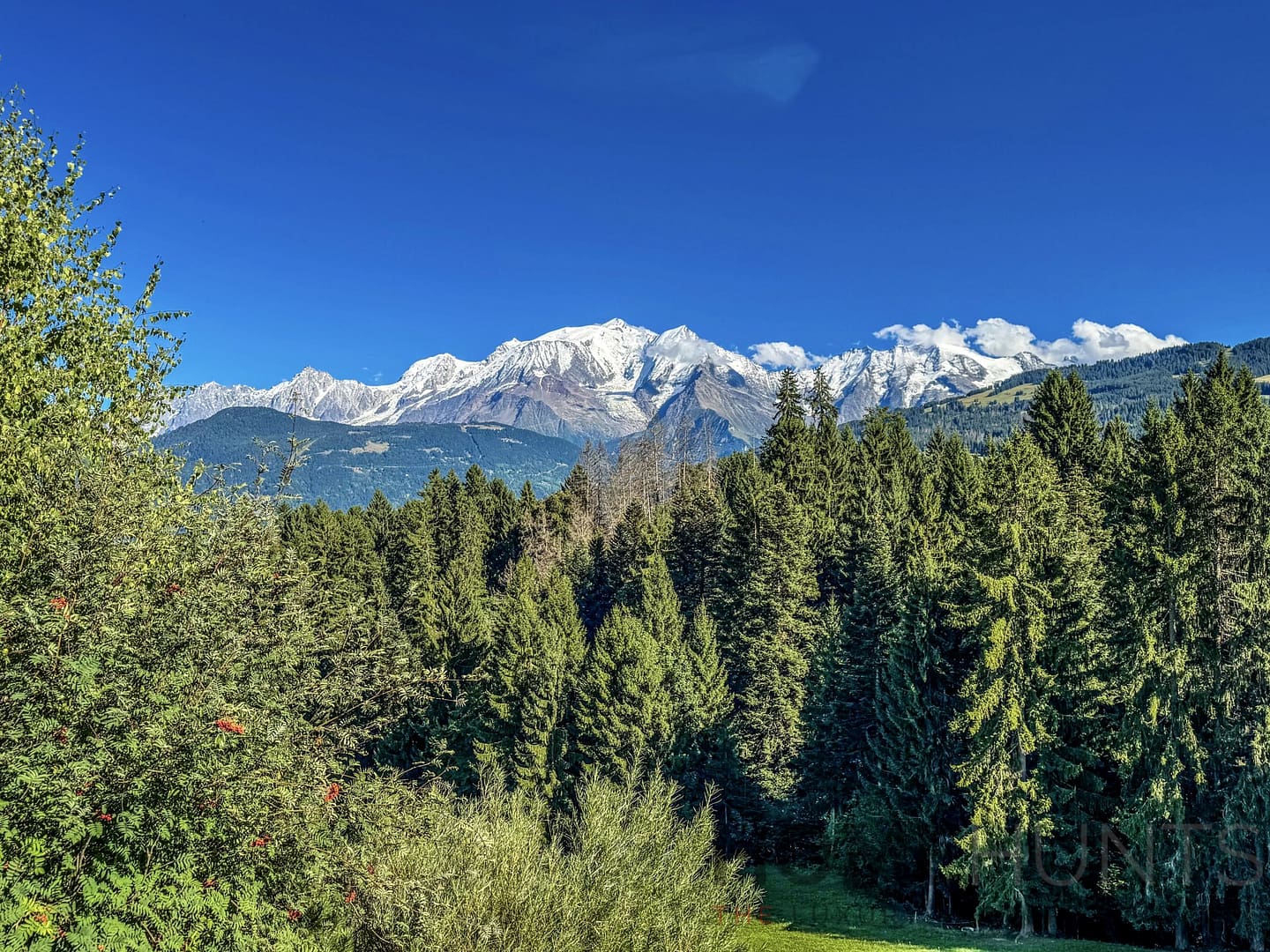 property_HH-15941775-26