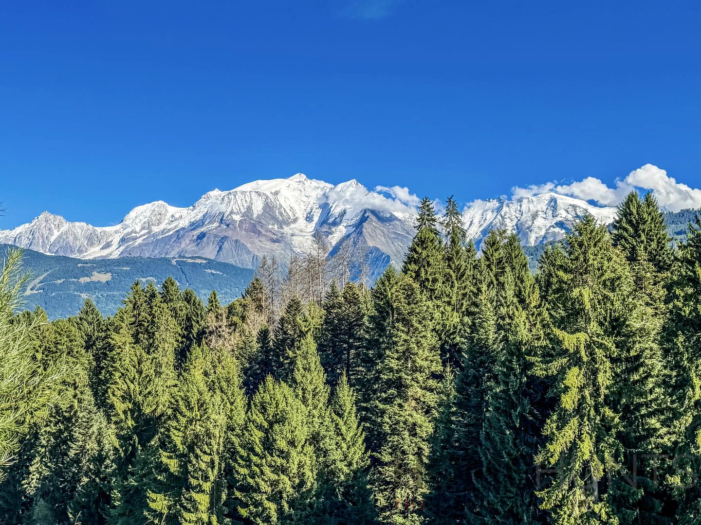 property_HH-15941775-8