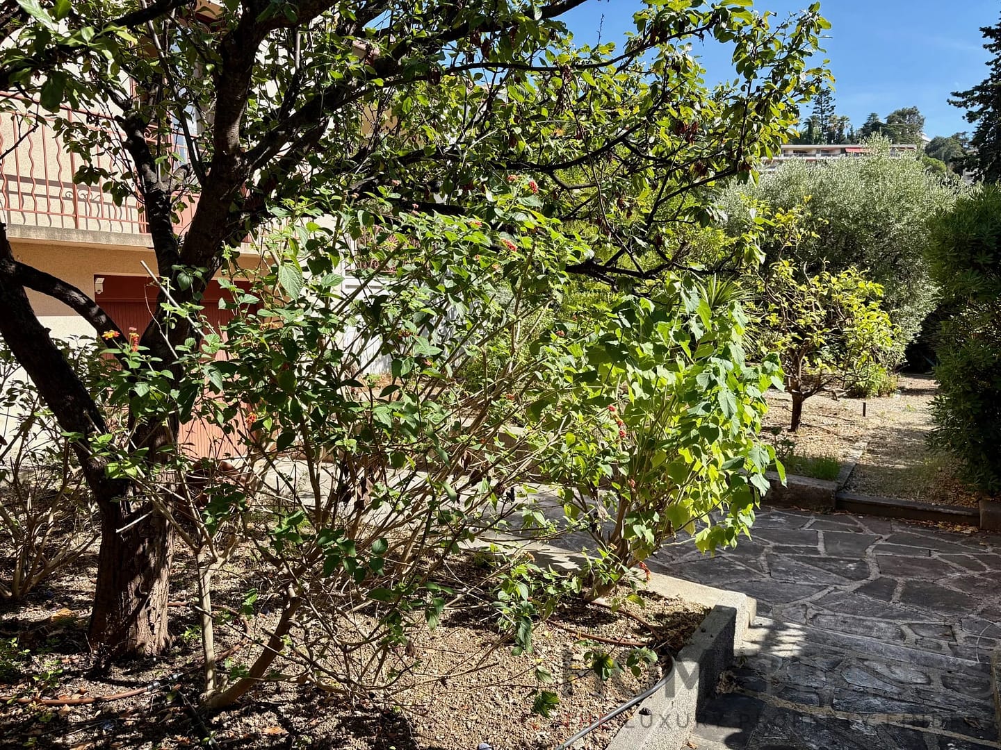 property_HH-15958568-13