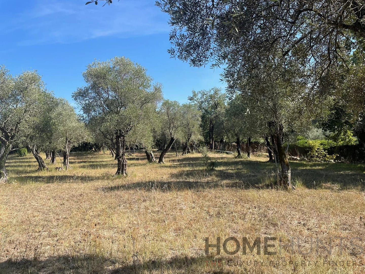 property_HH-15968456