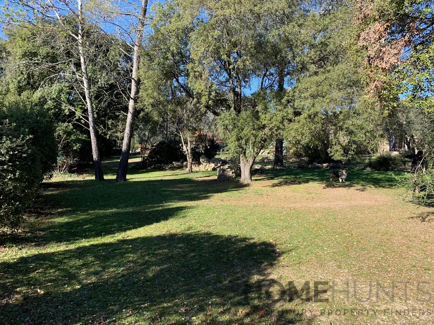 property_HH-15988392-4