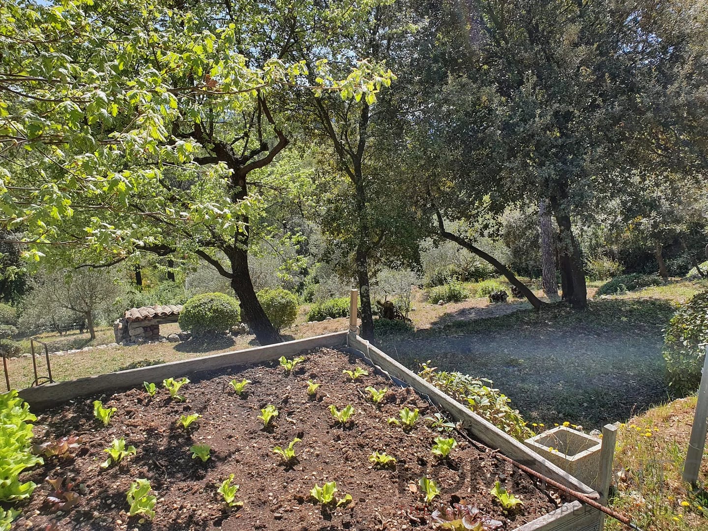 property_HH-15990618-22