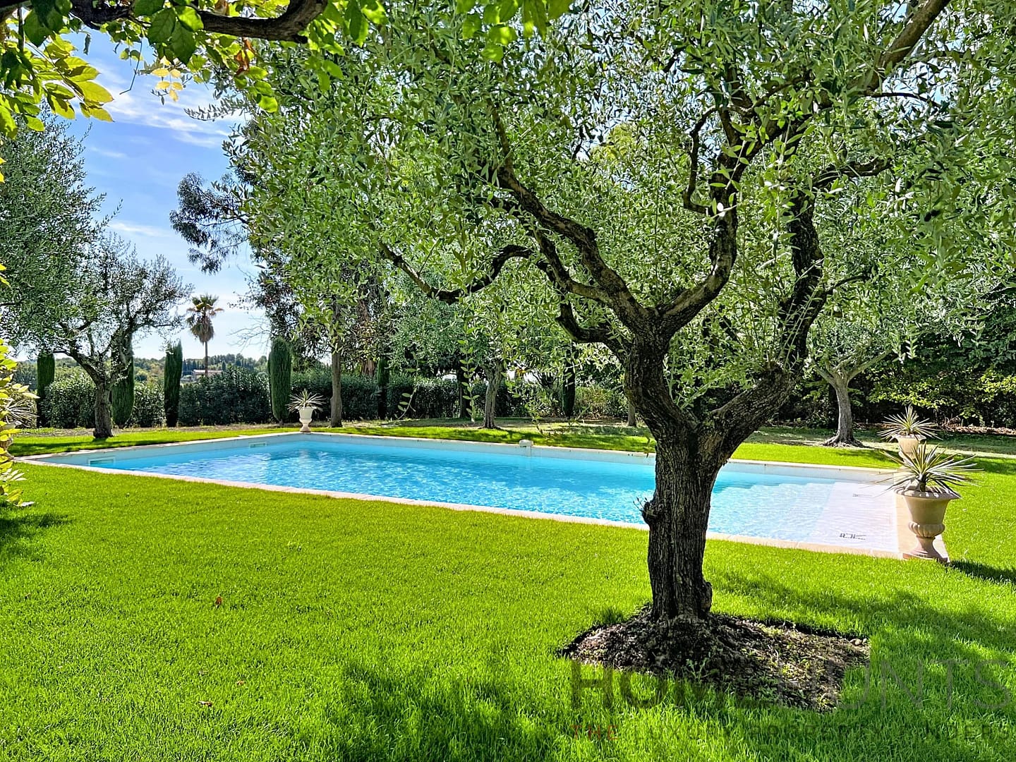 property_HH-16028391-4