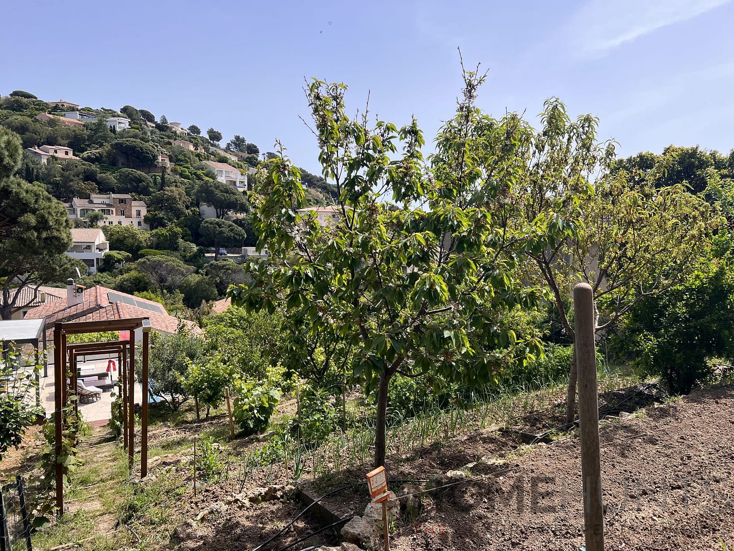 property_HH-16064978-19