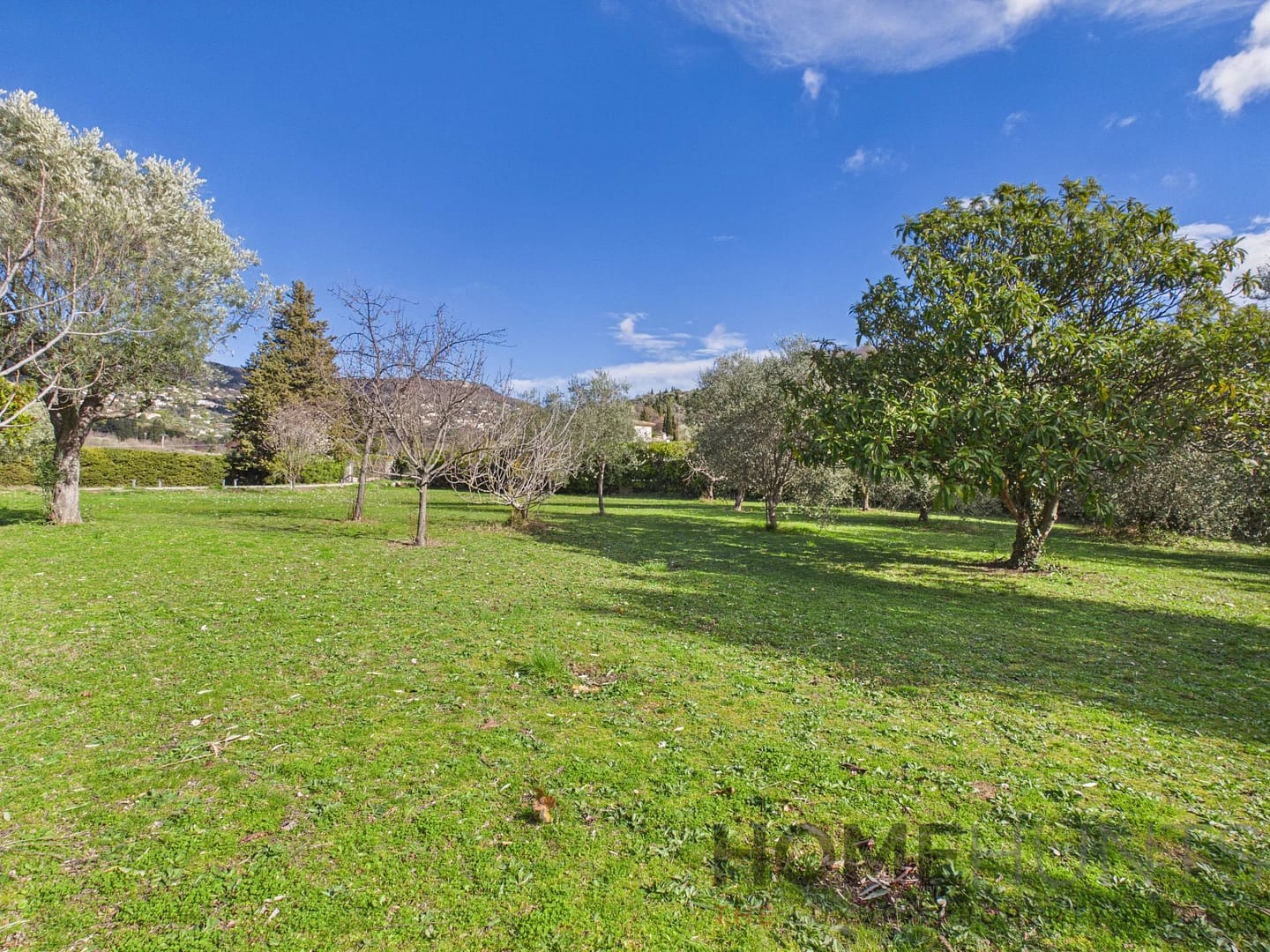 property_HH-16076392-23