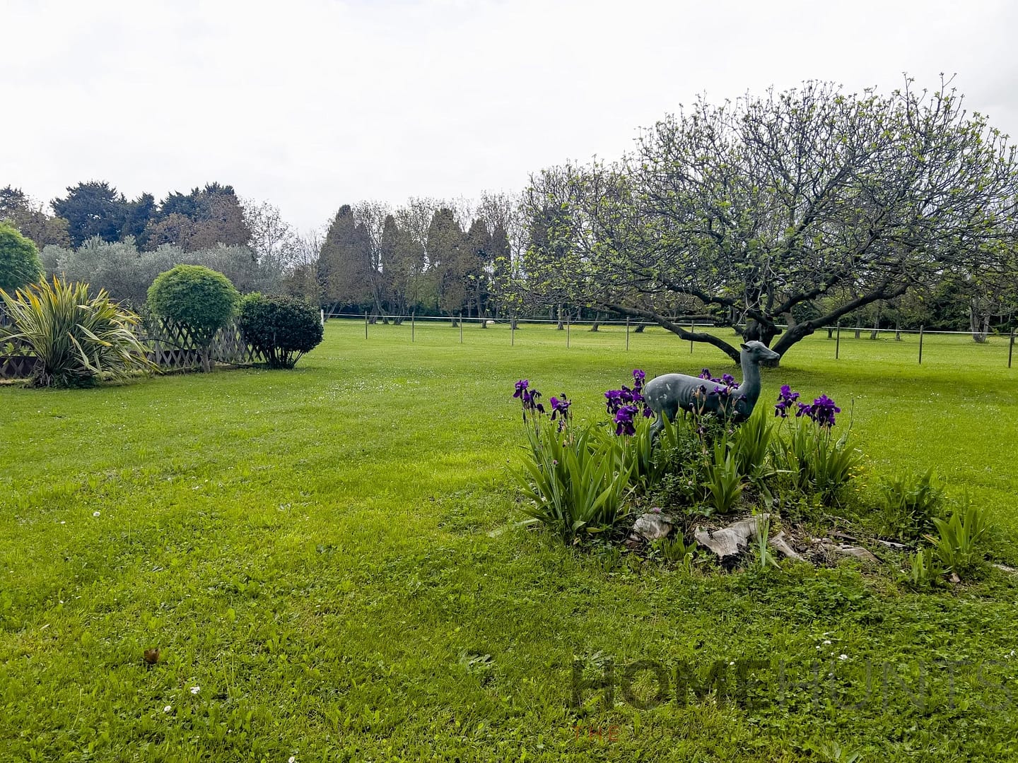 property_HH-16077880-22