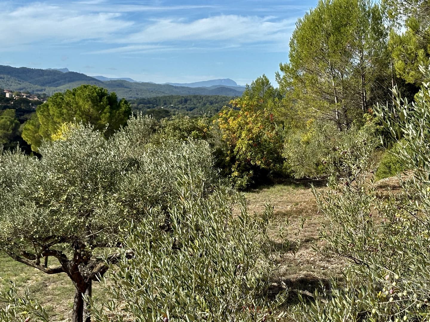 property_HH-16014236-8