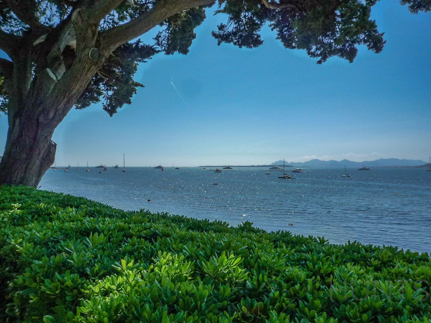 property_HH-16145495