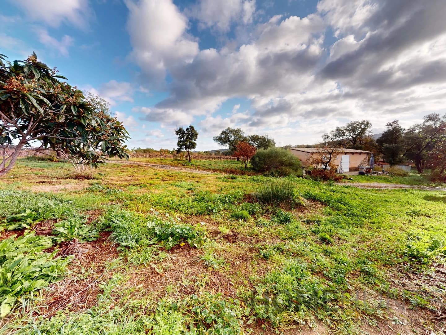 property_HH-16148912-11