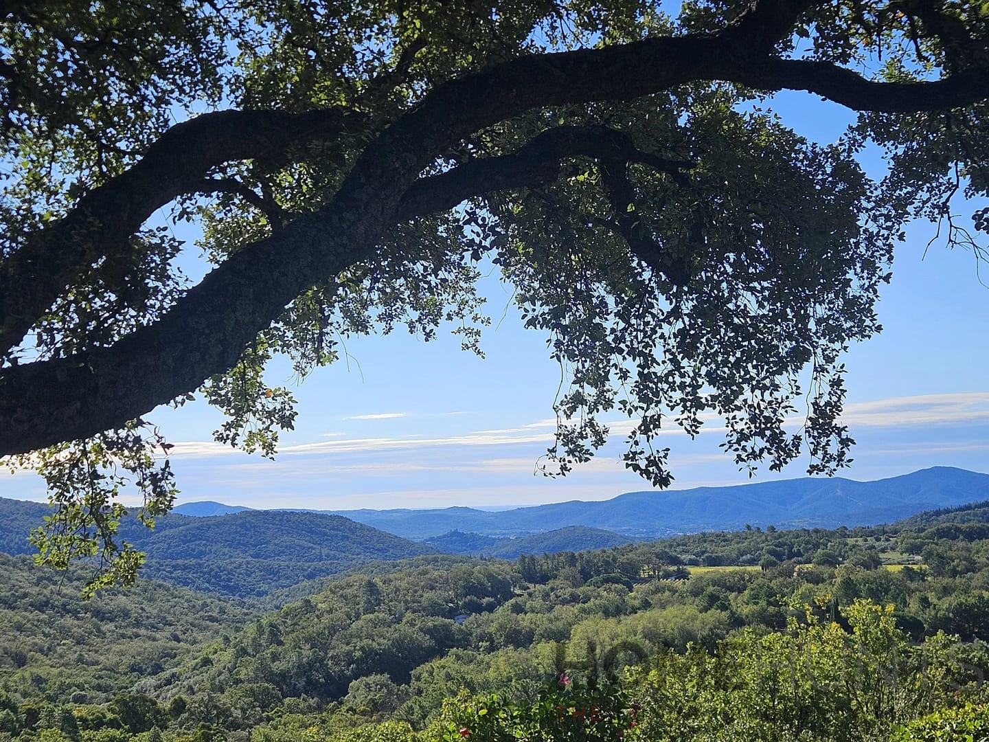 property_HH-16148934-5