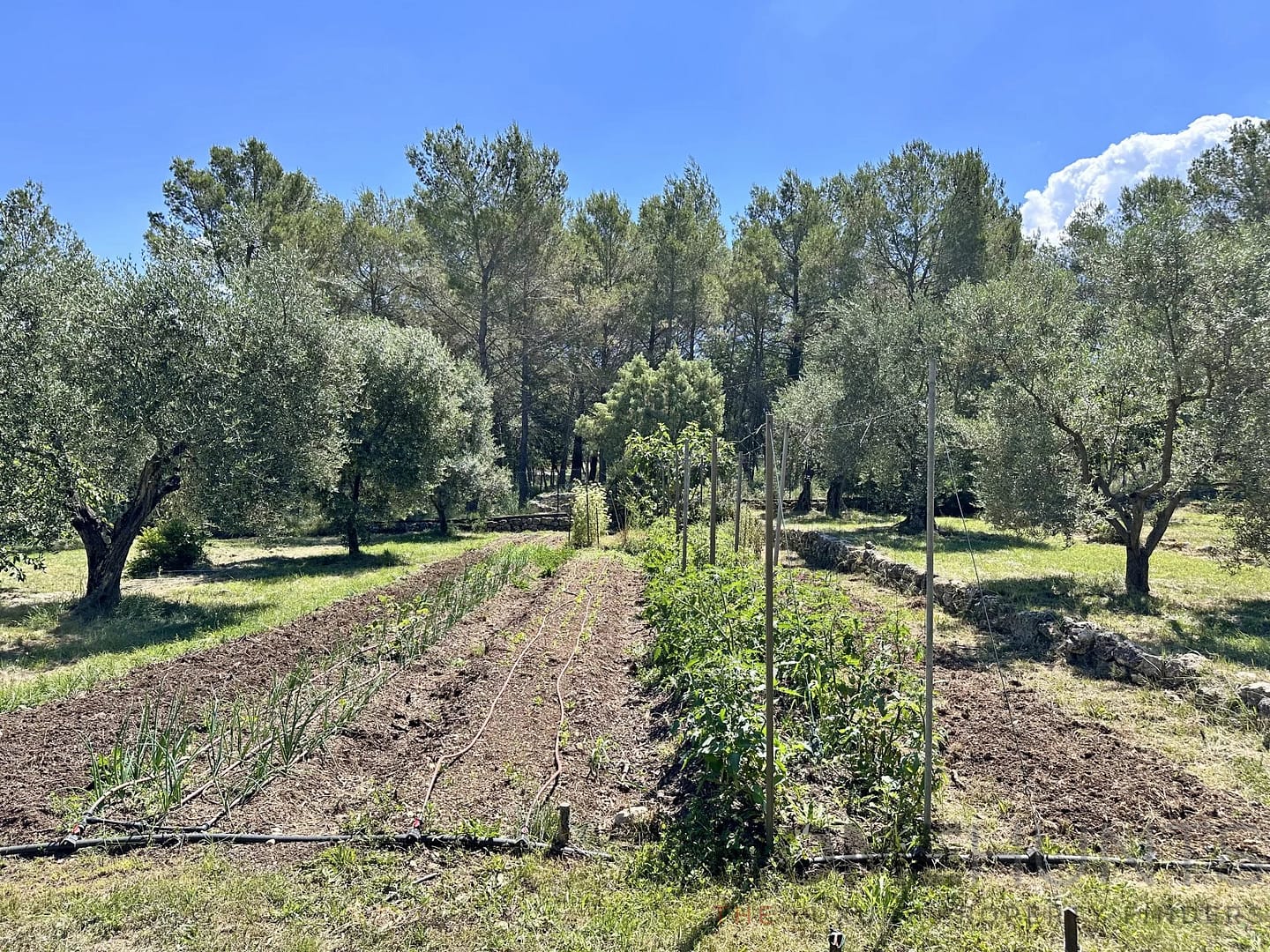 property_HH-15451039-11