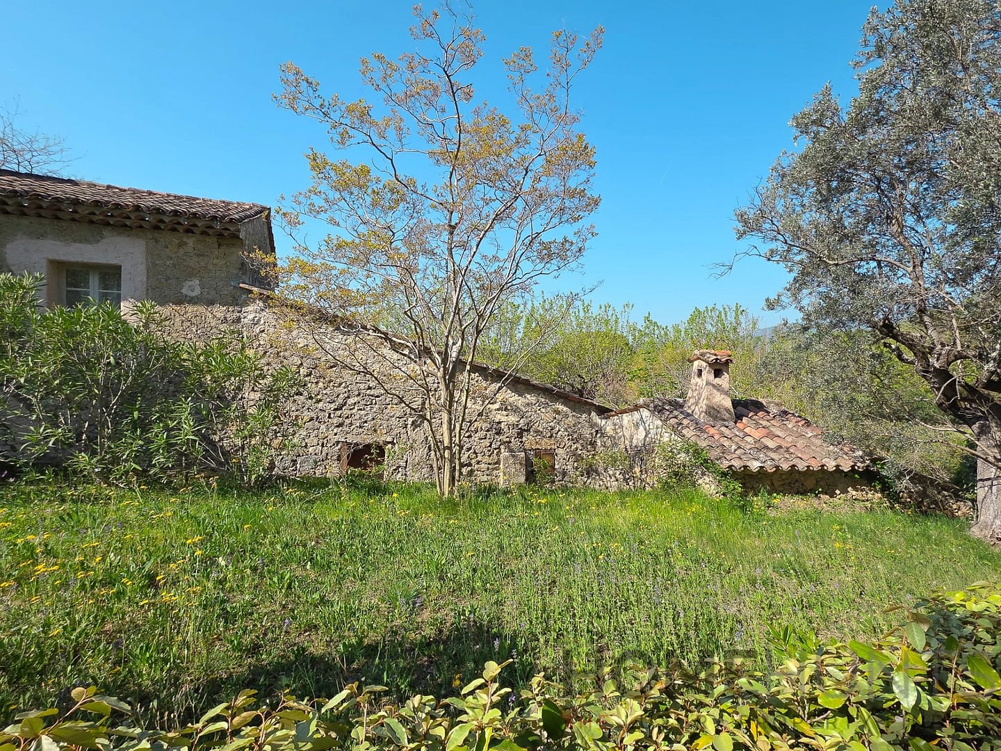 property_HH-16172860-4