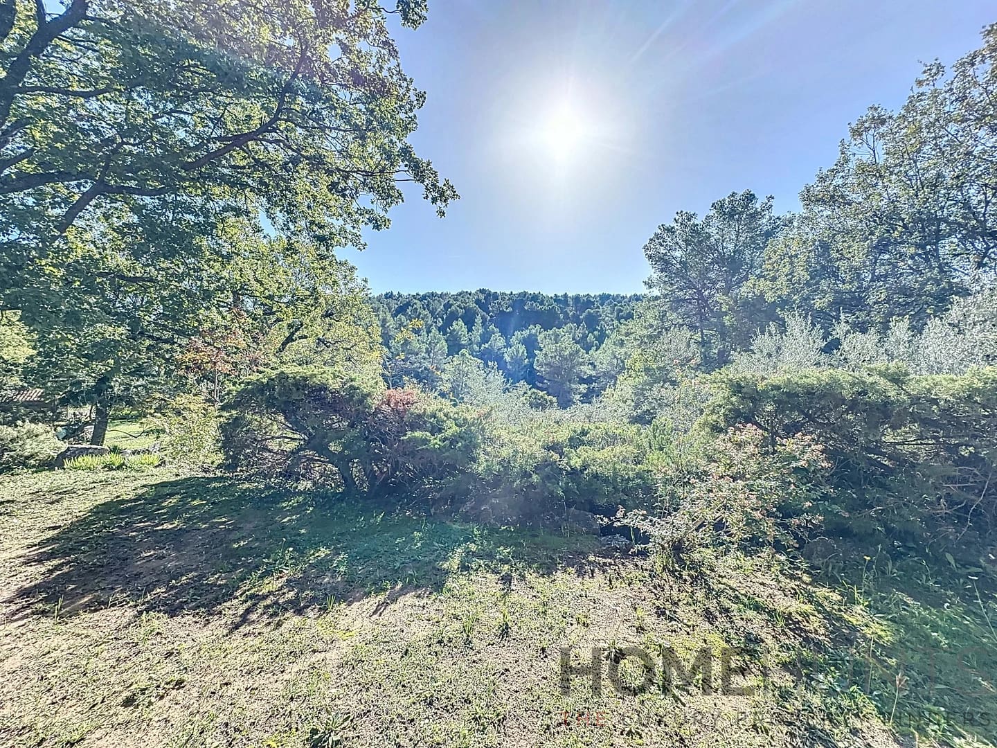 property_HH-16177632-12
