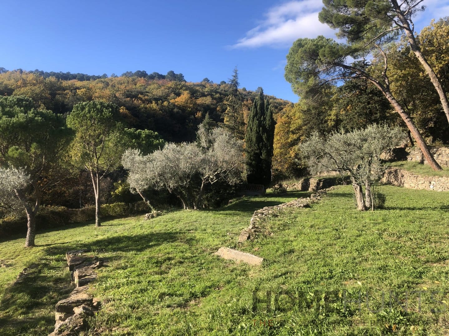 property_HH-16209538-14