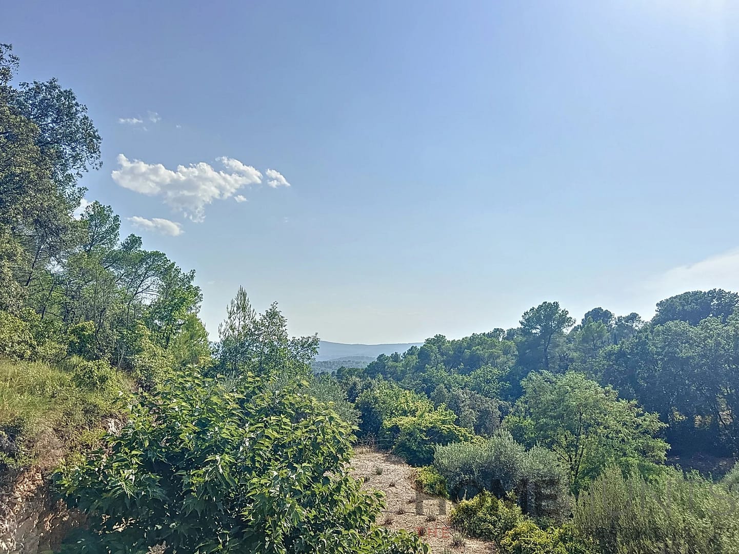 property_HH-16165962-8