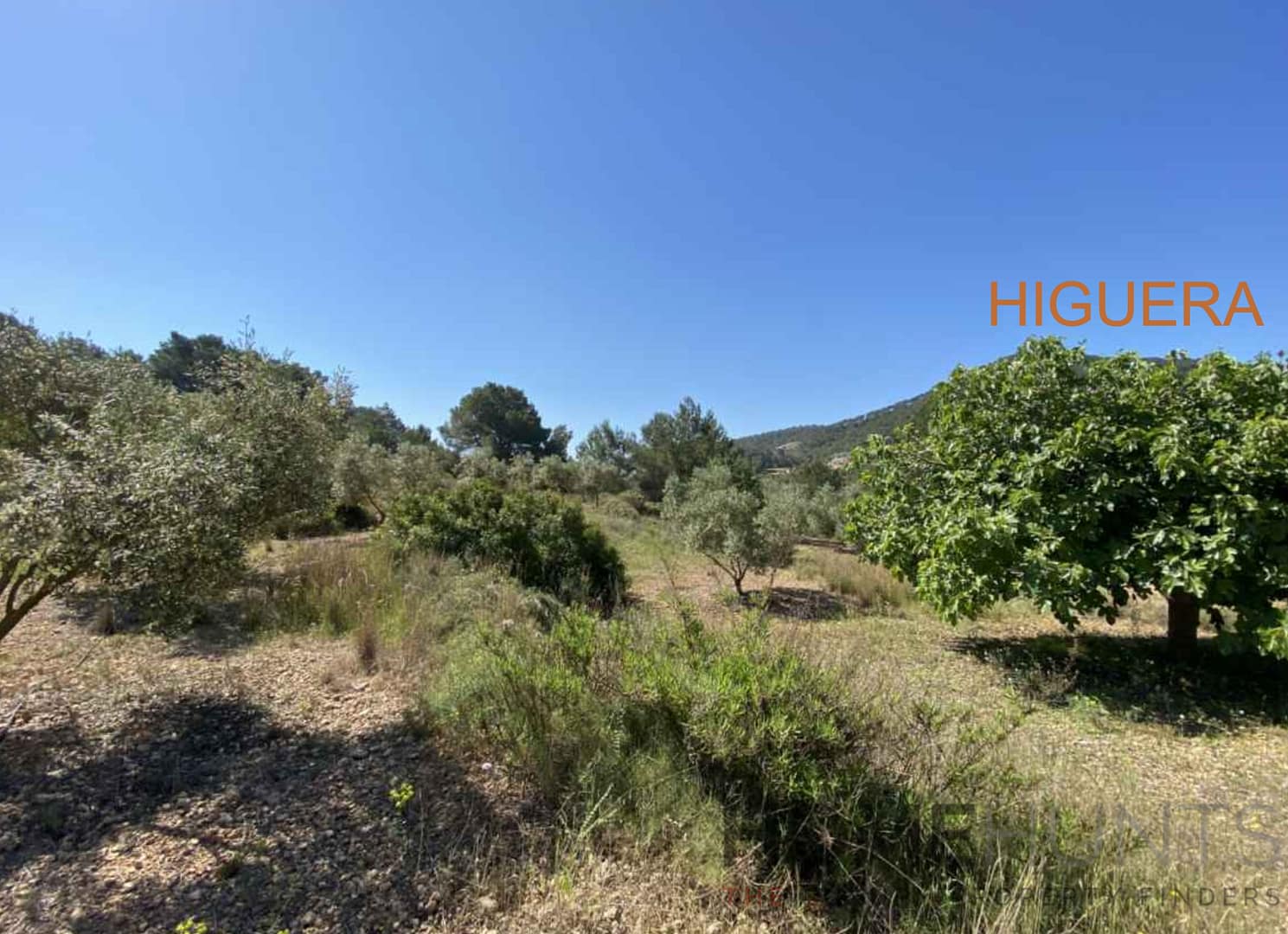 property_HH-15720654-6