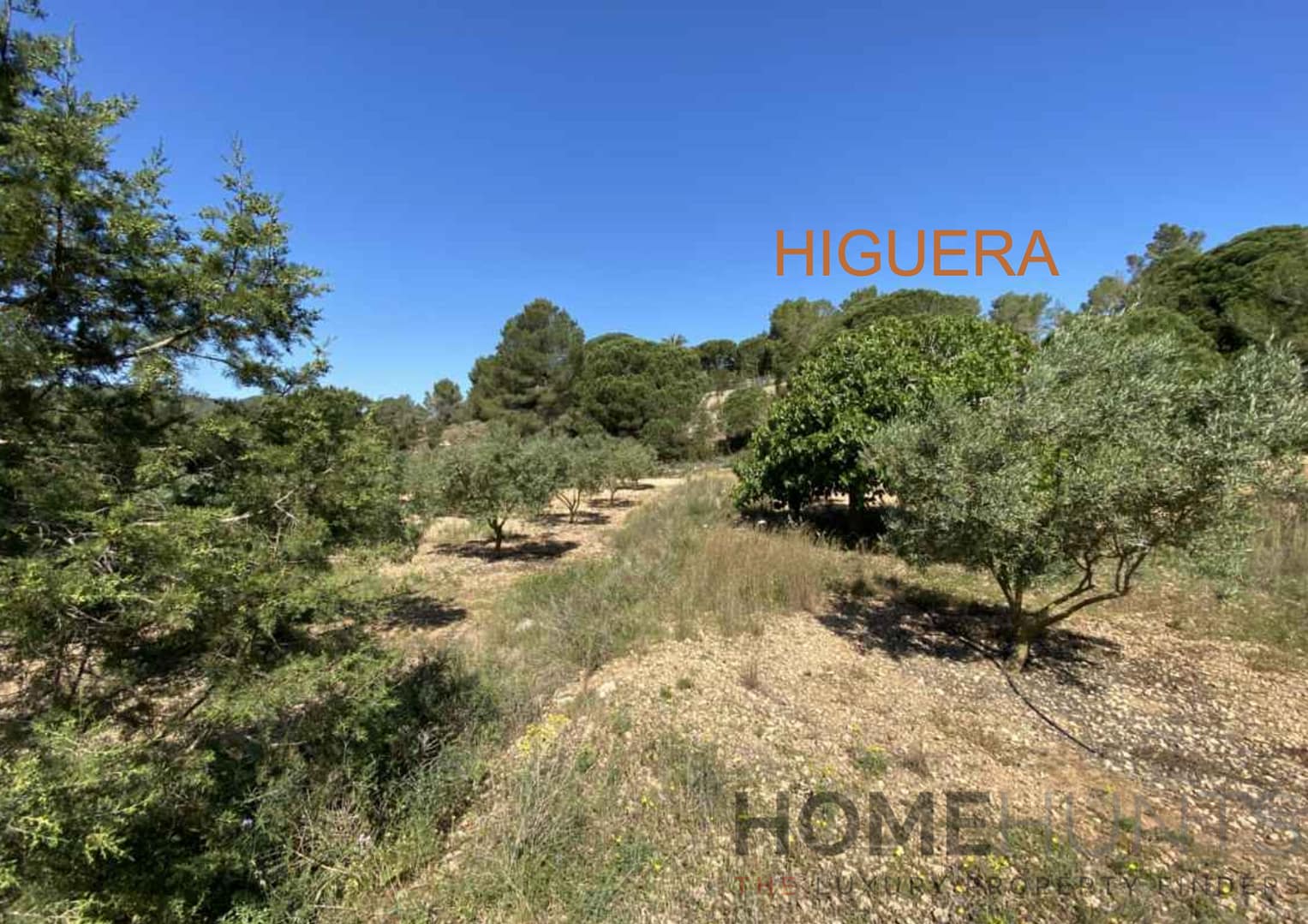 property_HH-15720654-2